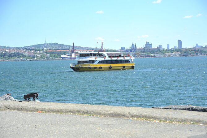 Istanbul: Bosphorus and Golden Horn Cruise With Audio Guide - Audio Guide and Commentary