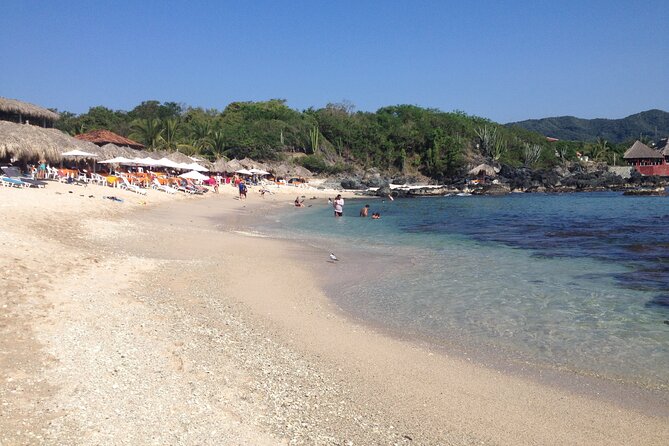 Ixtapa Island Tour - Tour Highlights and Positive Feedback