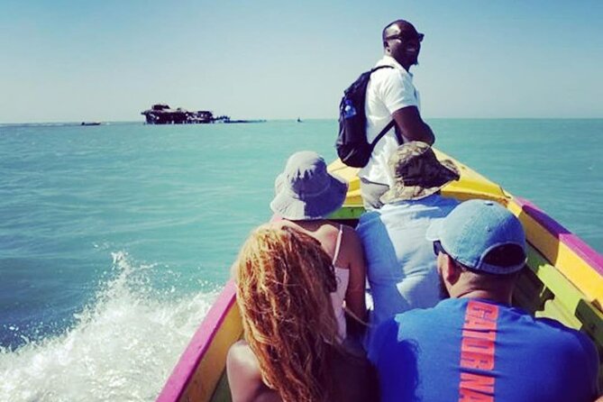 Jamaican South Coast Private Sightseeing Tour With Transport  - Montego Bay - Positive Reviews