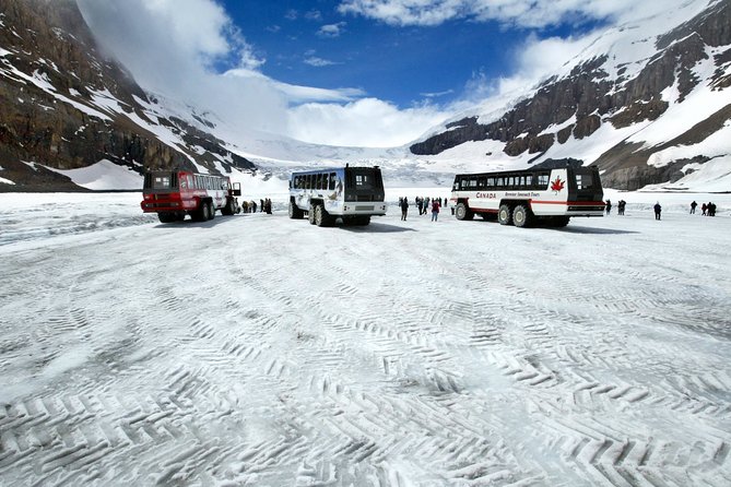 Jasper National Park 2-Day Tour - Reviews