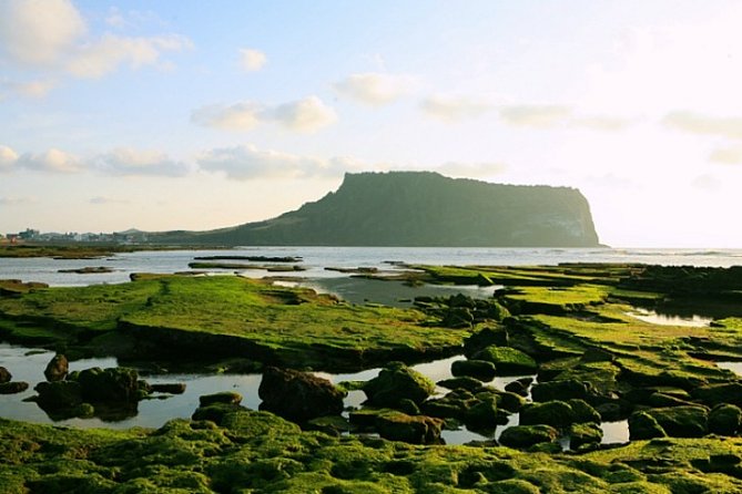 Jeju Customizable Private Tour - Professional Guides