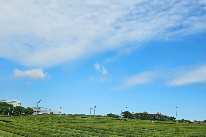Jeju Island Private Taxi Tour-West & South (From Jeju Island) - Common Questions