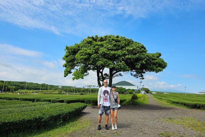 Jeju Private Tour Package-South of Jeju(Mt.Hallasan & Waterfalls) - Expert Tour Guide