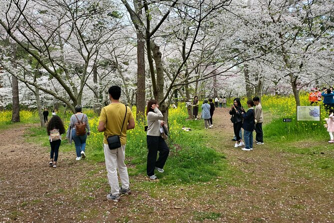 Jeju West Island Bus(Or Taxi) Tour Includes Lunch & Entrance Fee - Understanding the Cancellation Terms