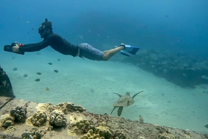 Jet Snorkeling in Turtle, Dolphin and Monk Seal Bay - Traveler Photos