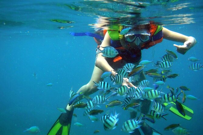 Join Group Tour Nha Trang Snorkeling Included Lunch Onboard - Terms and Conditions