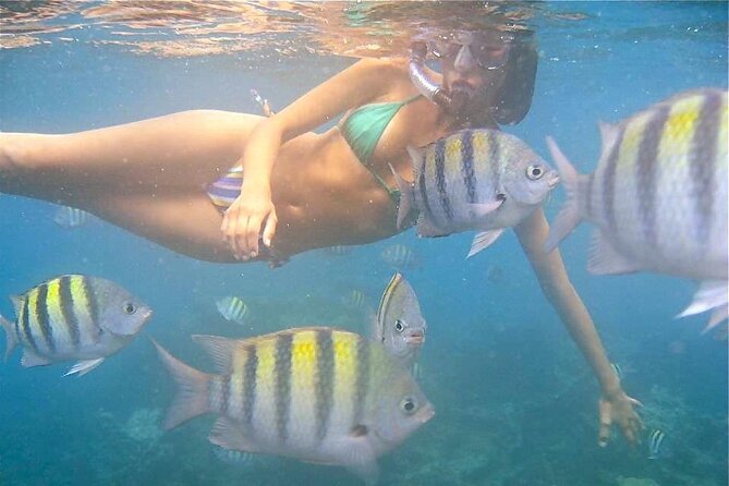 Jolly Pirate Morning Sail and Snorkel Cruise in Aruba - What to Expect on the Cruise