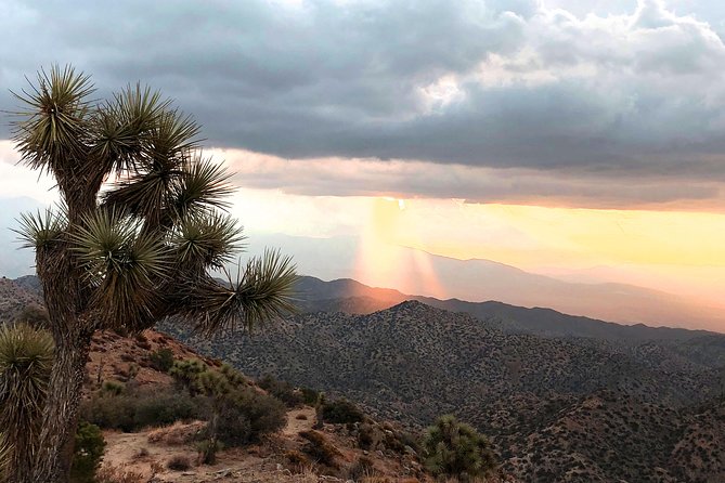 Joshua Tree National Park Scenic Tour - Cancellation Policy and Refunds