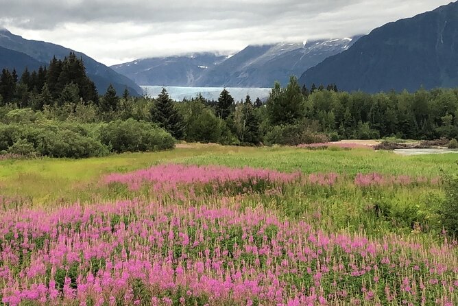 Juneau Private 3 Hour Scenic Road Trip - Inclusions