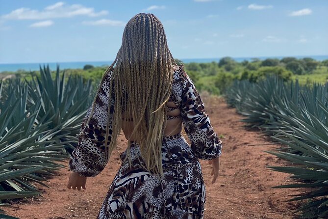 Jungle and Beach ATV Tour Lunch Tequila Tasting - Specific Details and Experiences