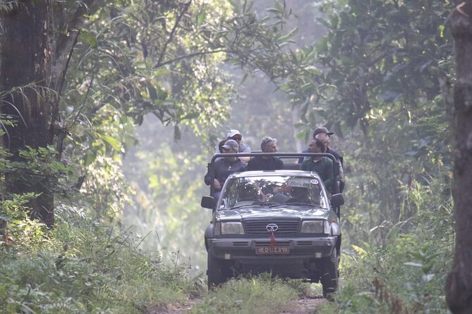 Jungle Towernight Stay: 4-Day Tour in Chitwan National Park - Pricing and Terms