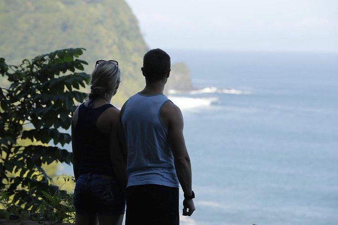Kahului Private Half-Day Waterfall and Rain Forest Tour  - Maui - Drive Along the Iconic Road to Hana