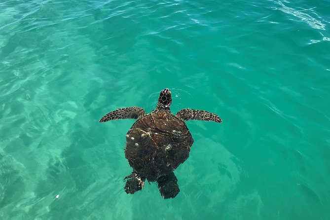 Kaneohe Bay Kayak Rental (Two-Person Kayak) - Autonomy and Exploration