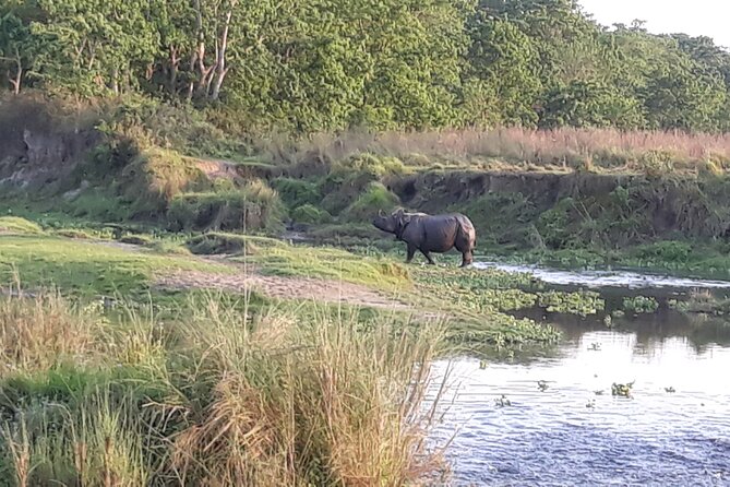 Kathmandu Cultural Tour and Wildlife in Bardia - Common Questions