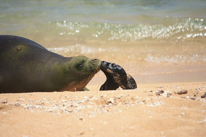 Kauai East Side and North Shore Private Guided Tour - Tour Duration and Recommendations