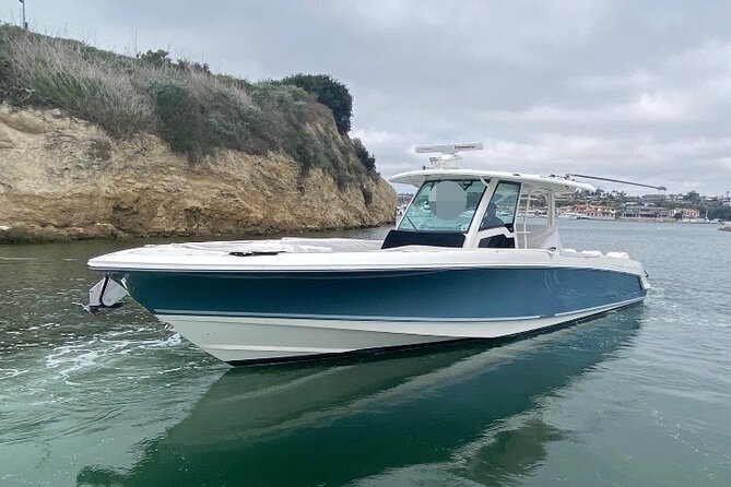 Kawaihae Luxury Snorkel Cruise & Wildlife Watch With Lunch - Reviews