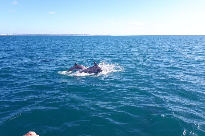 Kayak Algarve Tour BENAGIL by Diamond Tours - Visitor Experiences and Recommendations