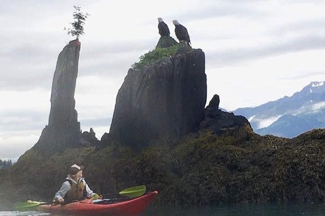 Kayak and Hike to Historic WW2 Army Fort in Alaska! - Additional Information