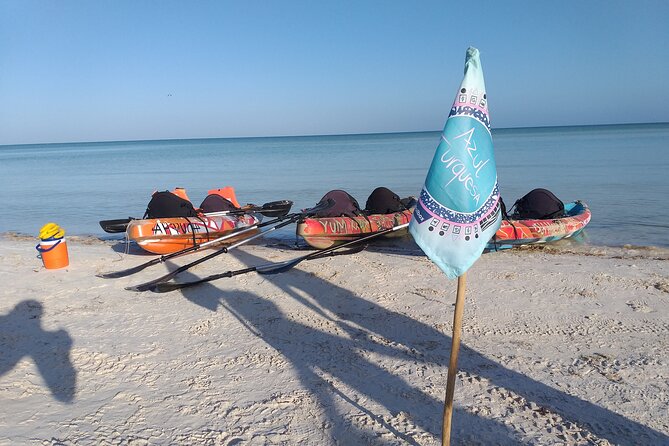 Kayak Experience in the Mangroves of Holbox - Wildlife Encounters