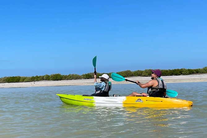 Kayak Merida - Traveler Insights