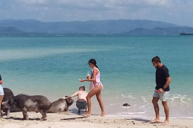 Kayaking and Snorkeling Trip at Koh Tan & Madsum From Koh Samui - Snorkeling Adventure