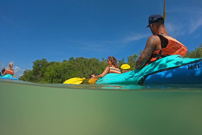 Kayaking Tour Through the Mangroves in Isla Holbox - Experience and Recommendations