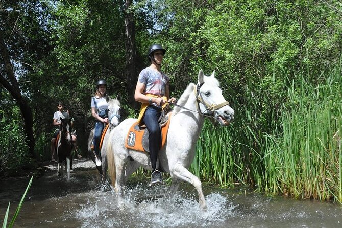 Kemer Horse Safari Experience With Free Hotel Transfer - Cancellation Policy and Refund Details