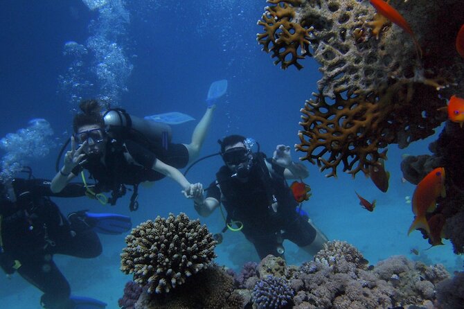 Kemer Scuba Diving Experience: Two Dives With Lunch - Additional Information and Questions