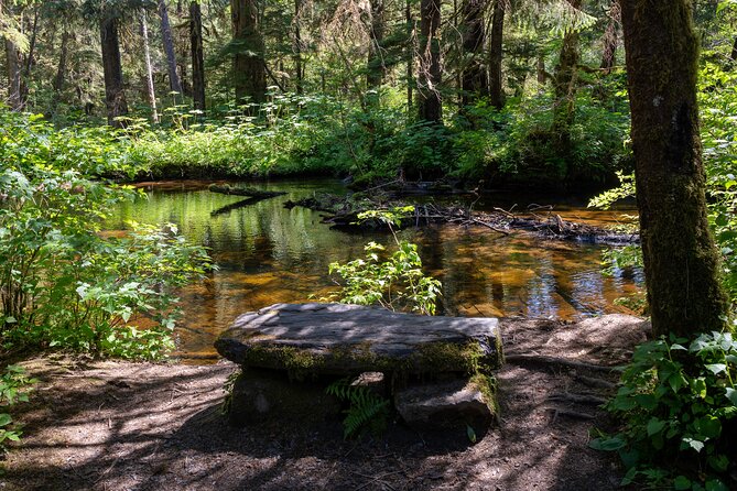 Ketchikan Magical Old-Growth Creek Trek Guided Tour - The Sum Up