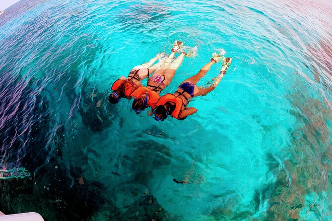 Key Largo Half-Day Snorkeling Tour - Pricing and Company Information