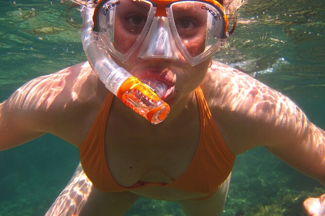 Key West: Dolphin Watching Cruise & Snorkeling Unlimited Beer & Soda - Cancellation Policy