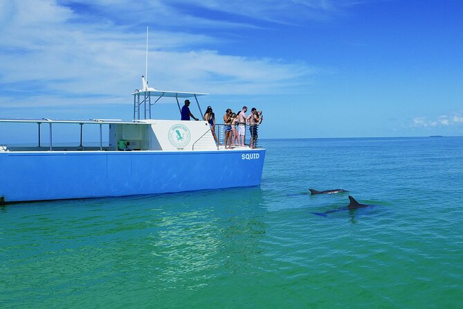 Key West Small Group Dolphin Viewing & Snorkeling Tour - Additional Information