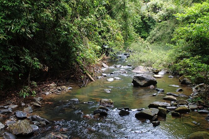 Khao Sok National Park Hiking and Canoeing Day Tour From Khao Lak - Important Information