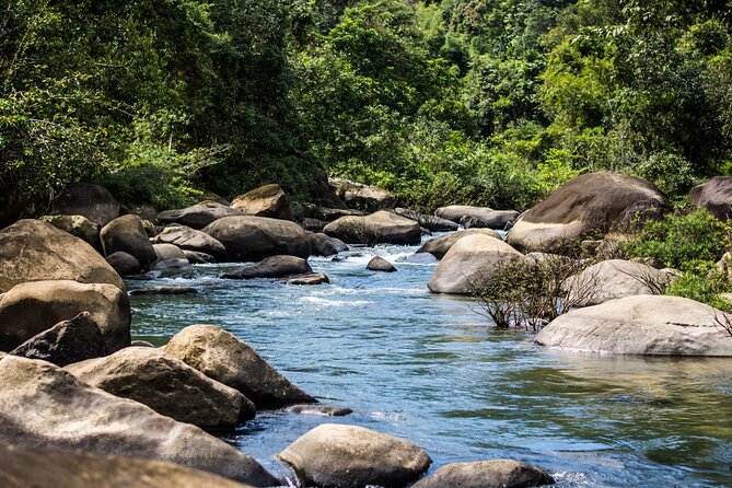 Khao Sok Rainforest Hike Canoe - Additional Information