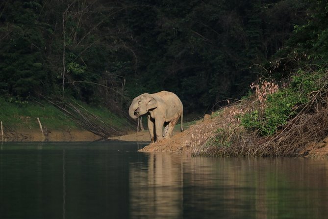 Khao Sok Wildlife 2 Days - Wildlife and Nature Experience