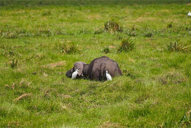 Khao Yai Bat Caves & Night Safari Adventure 3D/2N - Accommodation Details