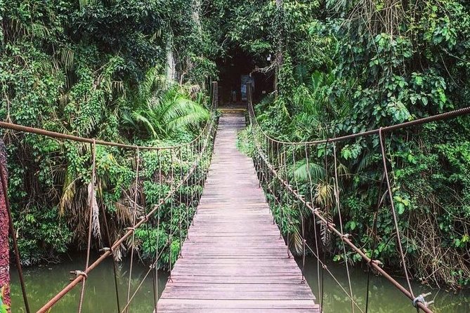 Khao Yai National Park Jungle Trekking Day Trip From Bangkok - The Sum Up