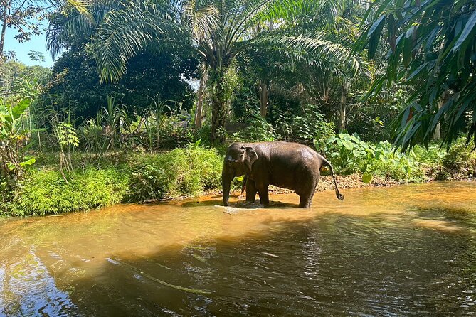 Khaolak Elephant Sanctuary, Cooking Class and Waterfall Tour - Booking Information