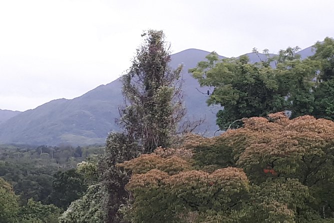 Killarney Valley & National Park Tour - Pickup Details and Cancellation Policy