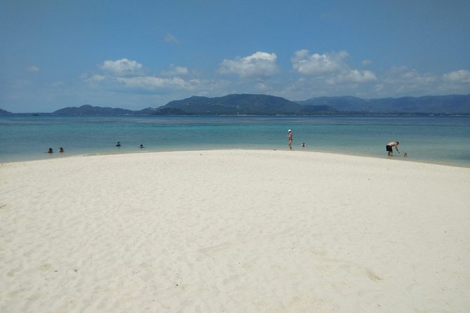 Koh Madsum and Koh Tan Snorkeling Trip By Speedboat From Koh Samui - Wildlife and Marine Life Encounters