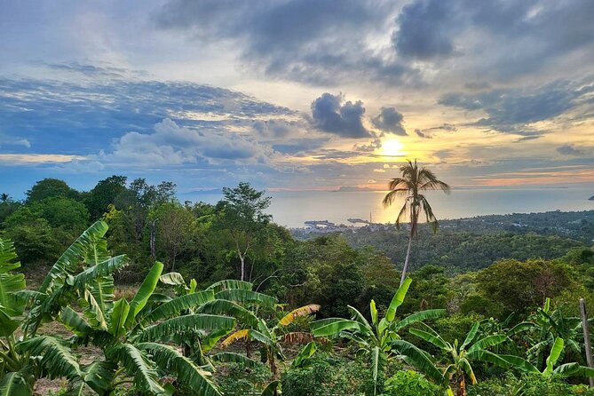 Koh Samui 4WD Jeep Jungle Tour - Highlights and Enjoyment