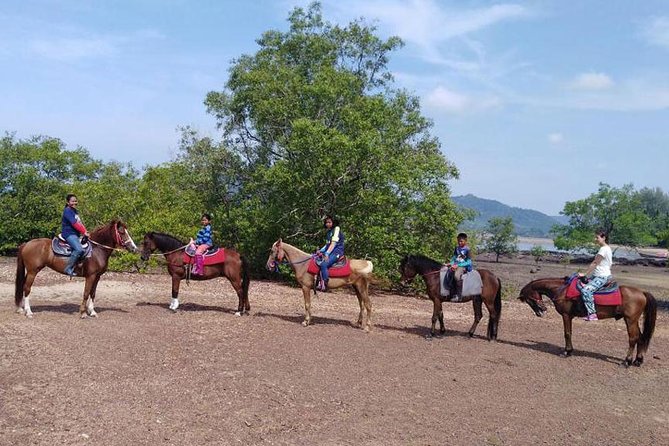 Krabi Horse Riding at The Beach - Traveler Photos, Reviews, and Support