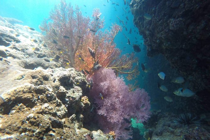Krabi Nice Sea Snorkeling Tour to Yawasam & Talu Island - Booking Terms and Conditions