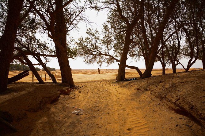 Ksar Ghilane 1 Day: the Hot Spring and the Homestay - Price and Additional Information