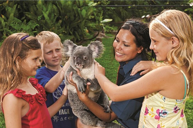 Kuranda Koala Gardens General Entry Ticket - End Point and Cancellation Policy
