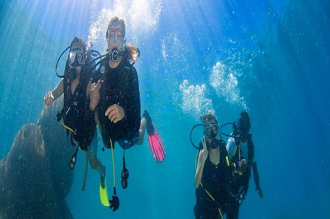 Kusadasi Beginners Discover Scuba Dive W/Transfers & Lunch - Option to Relax on Board or Go Swimming and Snorkeling