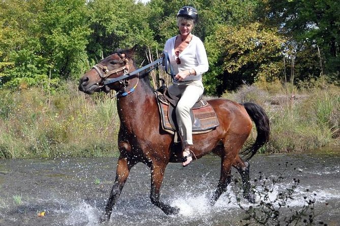 Kusadasi Horse Safari - Inclusions