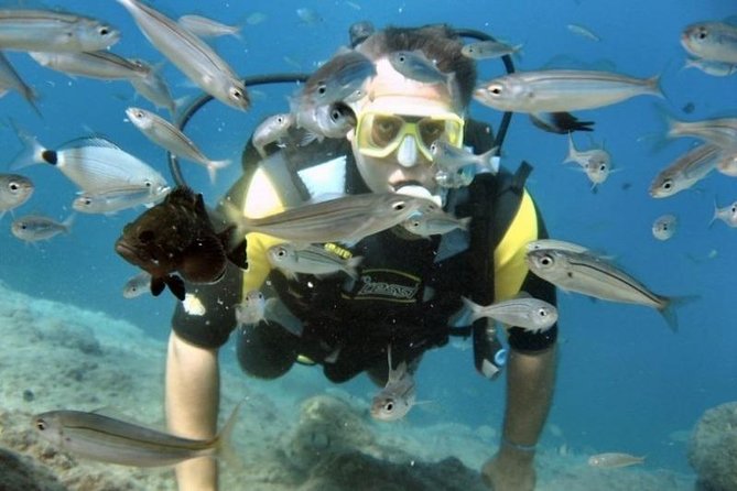 Kusadasi/Selcuk Scuba Diving Adventure With Lunch & Transfer - Common Questions