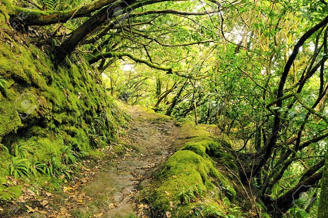 La Gomera Day Trip From Tenerife - Concerns and Issues