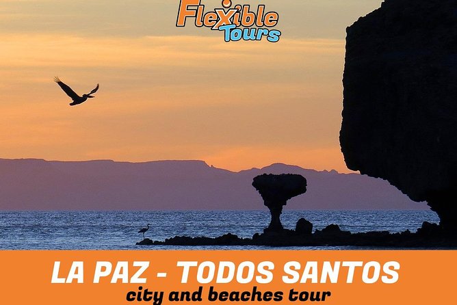 La Paz and Todos Santos City and Beaches Tour - Tour Guide Experience